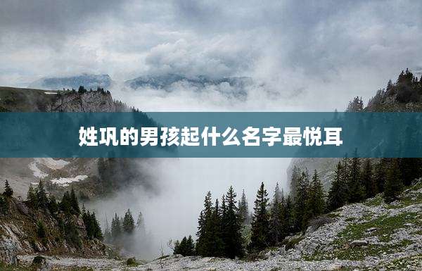 姓巩的男孩起什么名字最悦耳