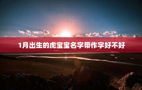 1月出生的虎宝宝名字带作字好不好