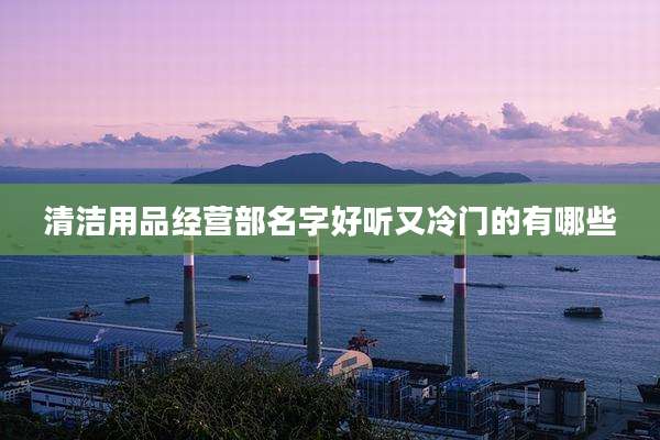 清洁用品经营部名字好听又冷门的有哪些