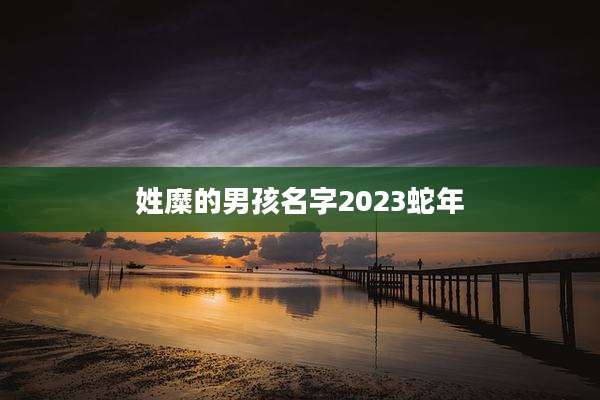 姓糜的男孩名字2023蛇年
