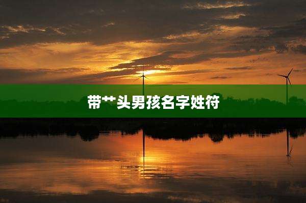 带艹头男孩名字姓符