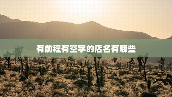 有前程有空字的店名有哪些