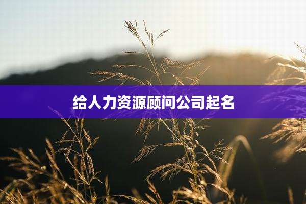 给人力资源顾问公司起名