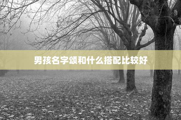 男孩名字颂和什么搭配比较好