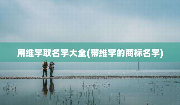 用维字取名字大全(带维字的商标名字)