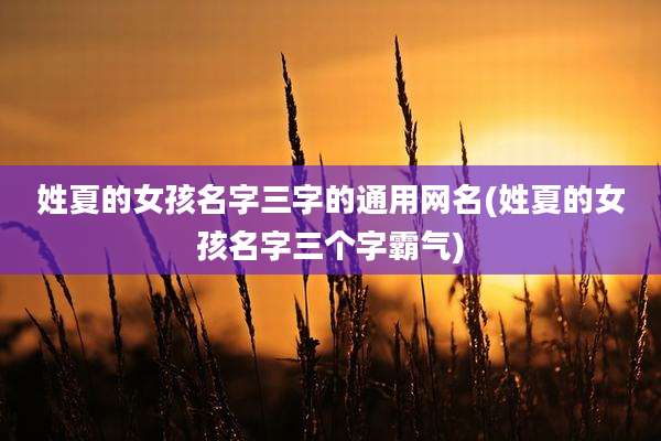 姓夏的女孩名字三字的通用网名(姓夏的女孩名字三个字霸气)