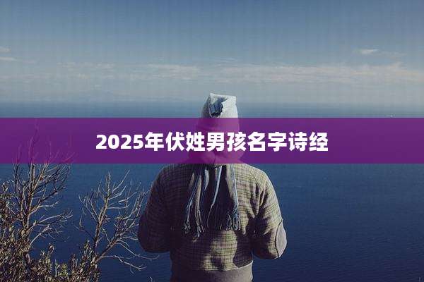 2025年伏姓男孩名字诗经
