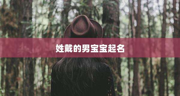 姓戴的男宝宝起名