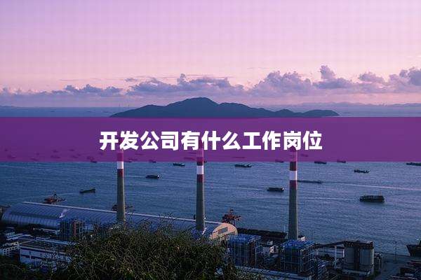 开发公司有什么工作岗位