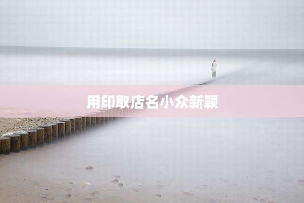 用印取店名小众新颖