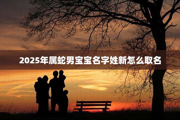 2025年属蛇男宝宝名字姓新怎么取名