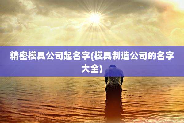 精密模具公司起名字(模具制造公司的名字大全)