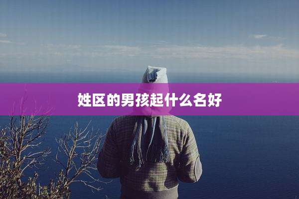 姓区的男孩起什么名好