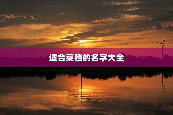 适合菜档的名字大全