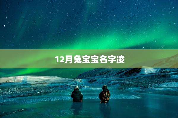 12月兔宝宝名字凌
