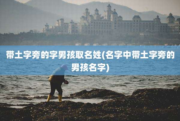 带土字旁的字男孩取名姓(名字中带土字旁的男孩名字)