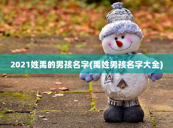 2021姓禹的男孩名字(禹姓男孩名字大全)