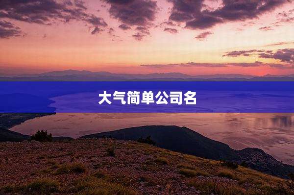 大气简单公司名