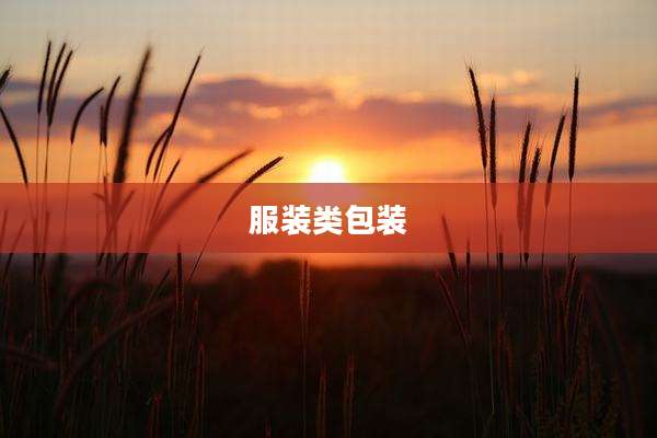 服装类包装