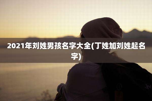 2021年刘姓男孩名字大全(丁姓加刘姓起名字)