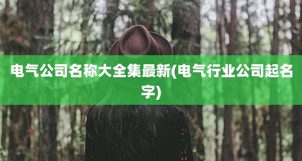 电气公司名称大全集最新(电气行业公司起名字)