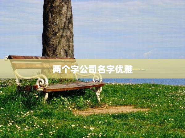 两个字公司名字优雅
