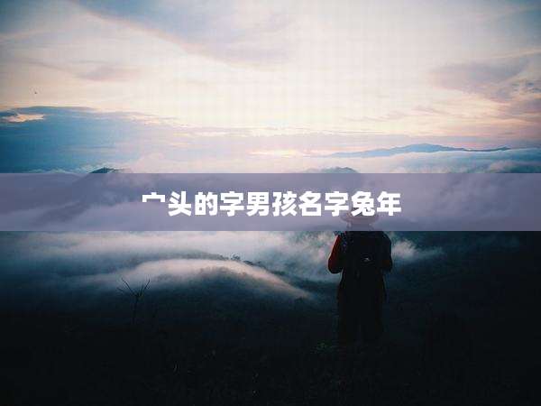 宀头的字男孩名字兔年