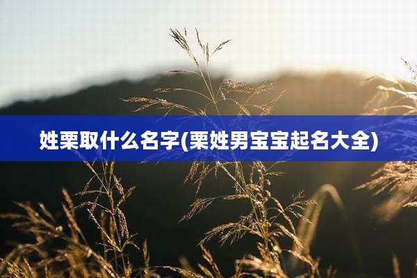 姓栗取什么名字(栗姓男宝宝起名大全)