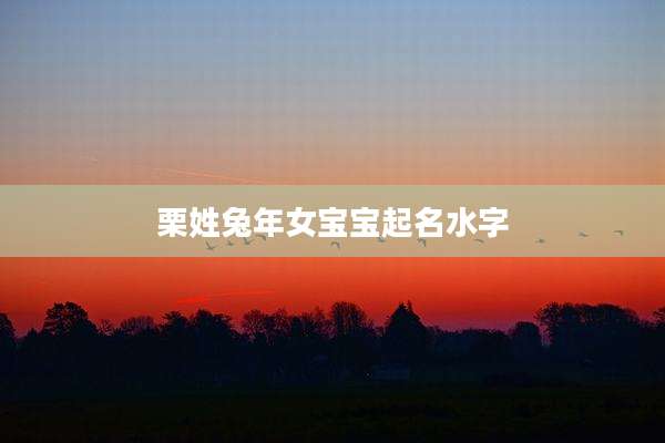 栗姓兔年女宝宝起名水字