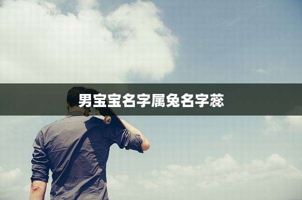 男宝宝名字属兔名字蕊