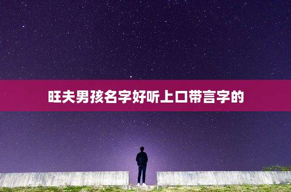 旺夫男孩名字好听上口带言字的