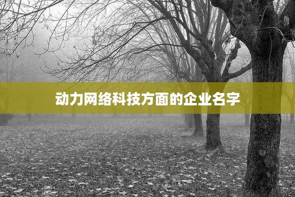 动力网络科技方面的企业名字