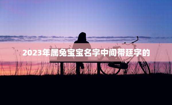 2023年属兔宝宝名字中间带廷字的