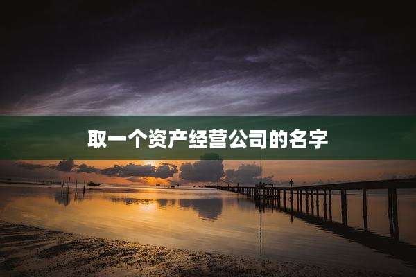 取一个资产经营公司的名字