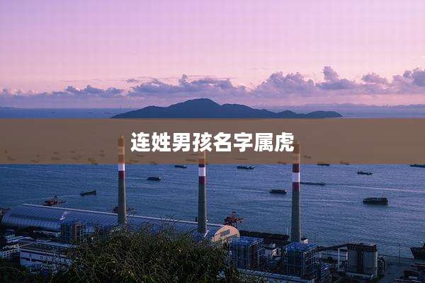 连姓男孩名字属虎