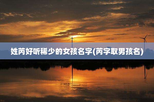 姓芮好听稀少的女孩名字(芮字取男孩名)
