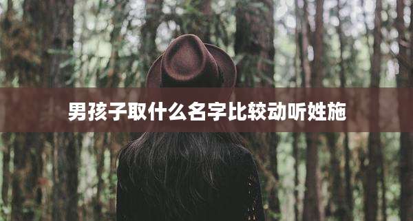 男孩子取什么名字比较动听姓施