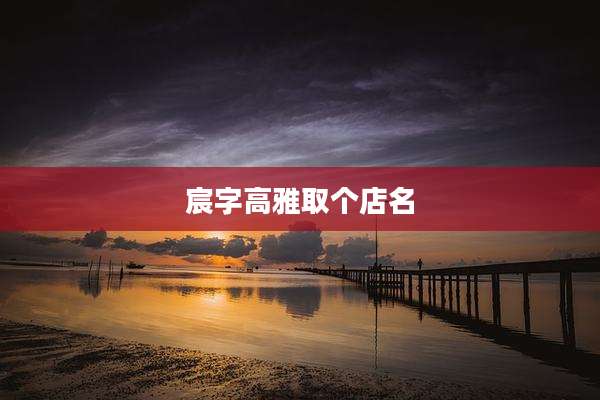 宸字高雅取个店名