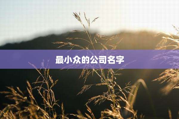 最小众的公司名字