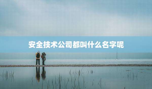 安全技术公司都叫什么名字呢