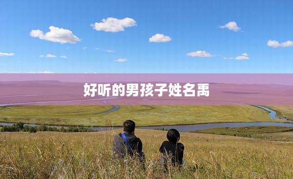 好听的男孩子姓名禹