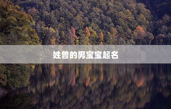 姓曾的男宝宝起名