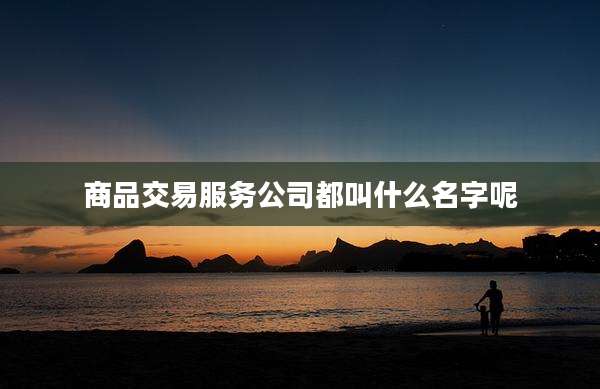 商品交易服务公司都叫什么名字呢