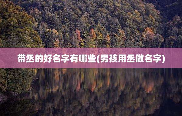 带丞的好名字有哪些(男孩用丞做名字)