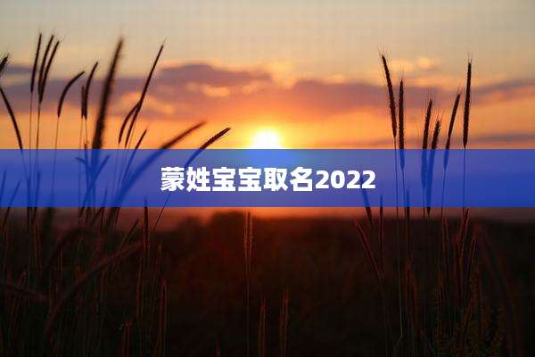 蒙姓宝宝取名2022