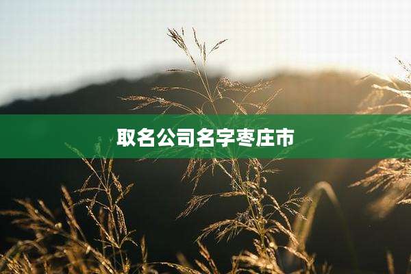 取名公司名字枣庄市