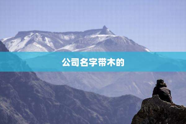 公司名字带木的