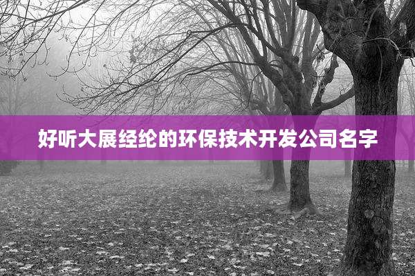 好听大展经纶的环保技术开发公司名字