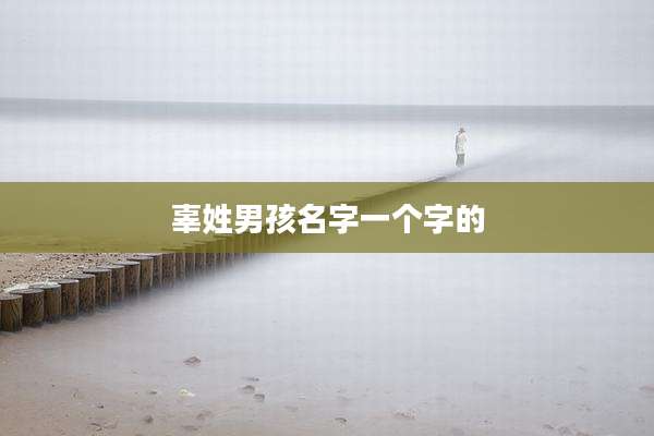 辜姓男孩名字一个字的