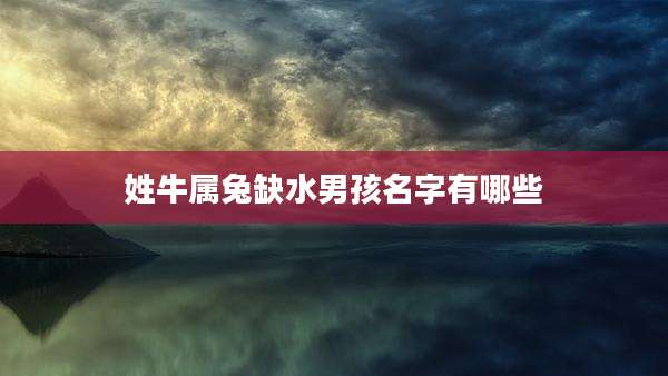 姓牛属兔缺水男孩名字有哪些
